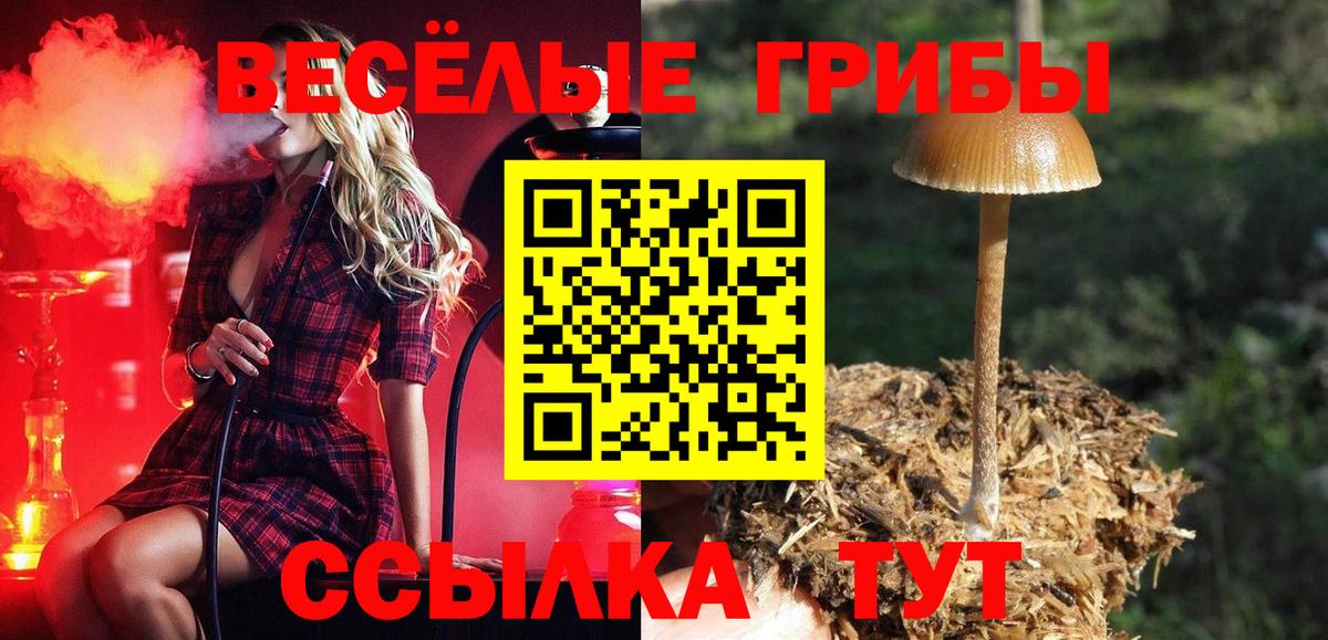 Псилоцибиновые грибы Psilocybe  Псилоцибиновые грибы мухоморы  Новосибирск  дарнет шоп  Вход с VPN 