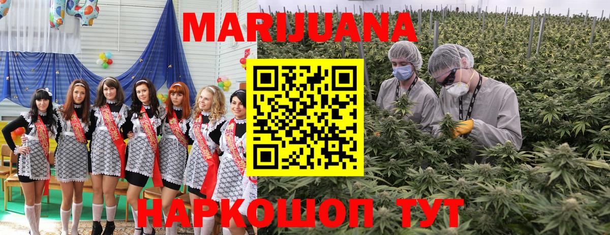 МАРИХУАНА планчик  Канабис Bruce Banner  Бошки марихуана SATIVA & INDICA  Вход с VPN  Марихуана ГИДРОПОН  Новосибирск 